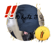 849265027