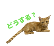 849265187