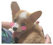849281120