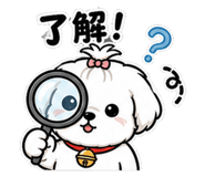 849285365