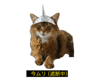 849288229