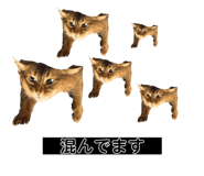 849288235