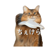 849288239