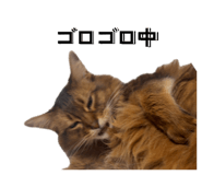 849288251