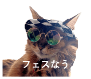 849288252
