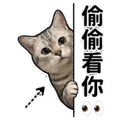 849299242