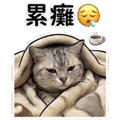 849299244