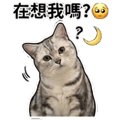 849299256