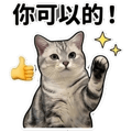 849299260