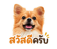 849311825