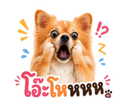849311832