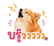 849311833