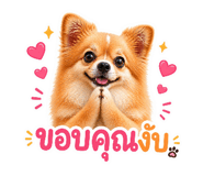 849311834