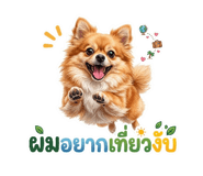 849311836