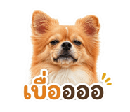 849311837