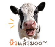 849319906