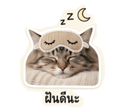 849327844