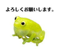 849333746
