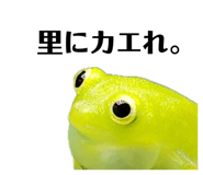 849333748
