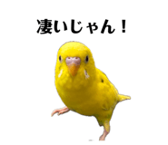 849333749