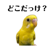 849333750