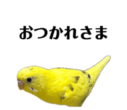 849333753