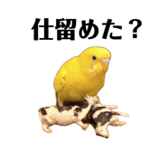 849333754