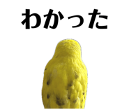 849333770