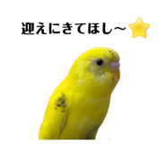 849333772