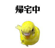 849333774