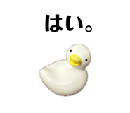 849333775