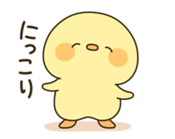 84933816