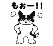 849340656