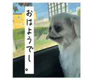 849341182