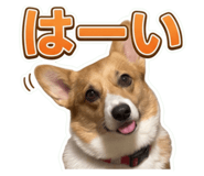 849341307
