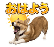849341312