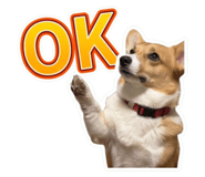 849341719