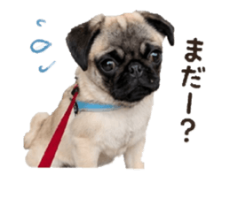849341832