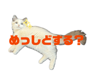849342412