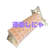 849342415