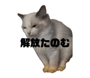 849342417