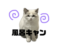 849342422