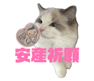 849342424