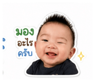 849346443