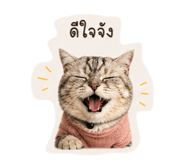 849346461