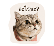 849346472