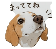 849354609