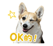 849374140