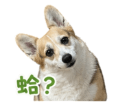 849374141