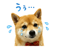 849375450